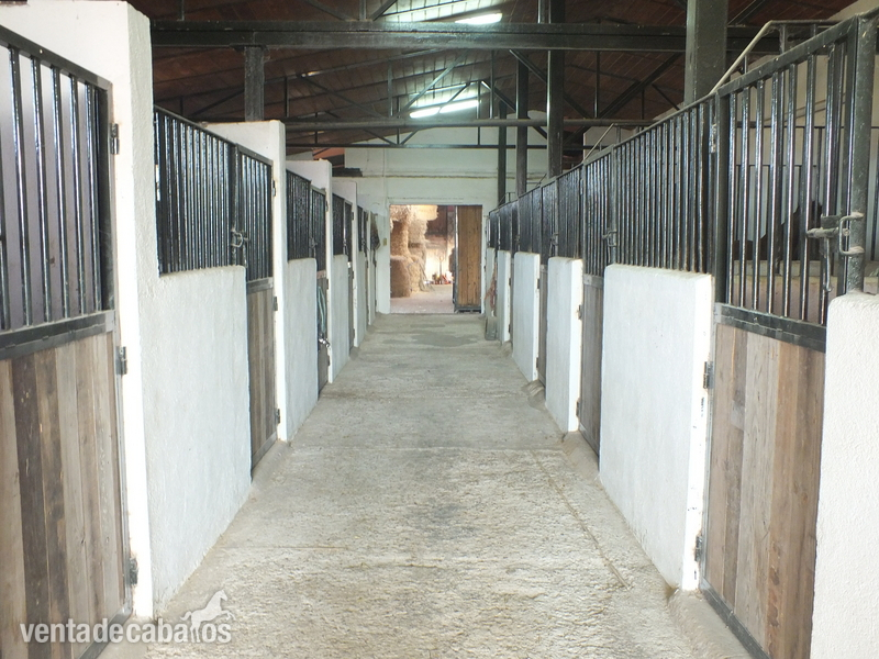 Alquiler económico instalación hípica in Soto del Real