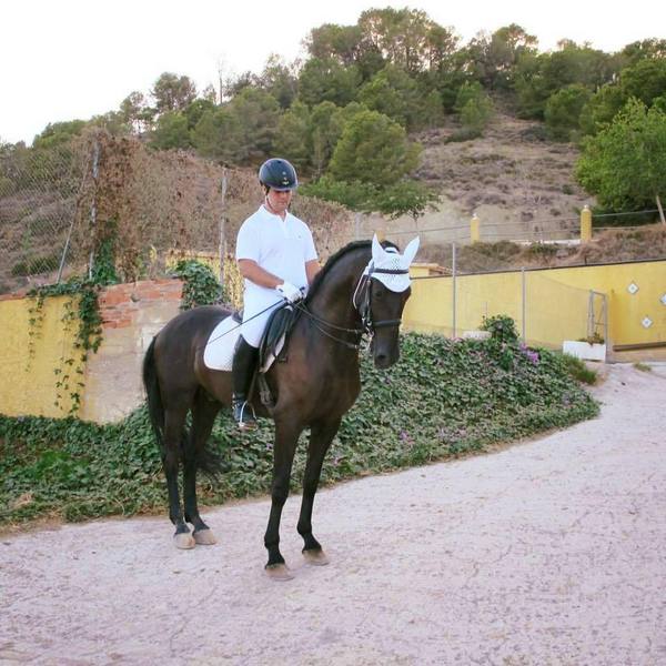 Venta de caballo in 