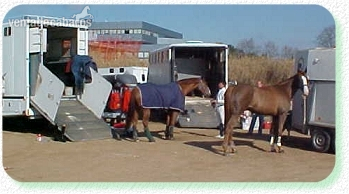 Transporte de caballos in 
