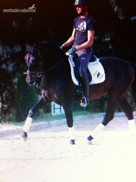 p.r.e. doma clasica nivel 3 in 