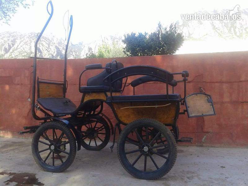 CARRUAJE O JARDINERA