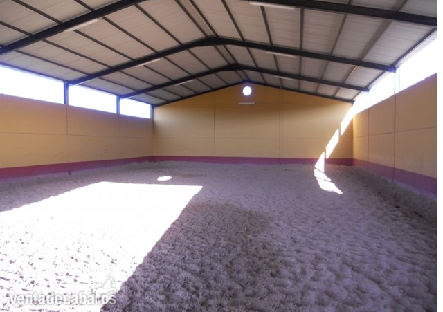 Magnificas instalaciones ecuestre en Alcala Alcala de los gazules