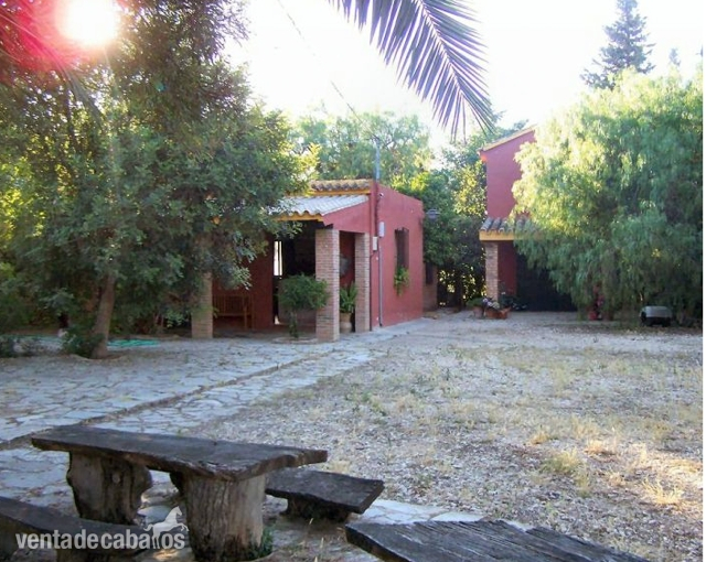 Finca ecuestre - Magnificas instalaciones ecuestre en Alcala in Alcala de los gazules