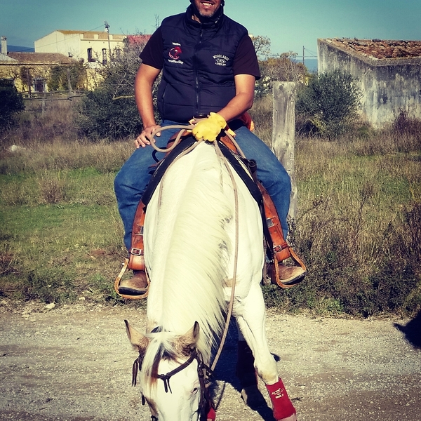 Paint Horse {TYPE}