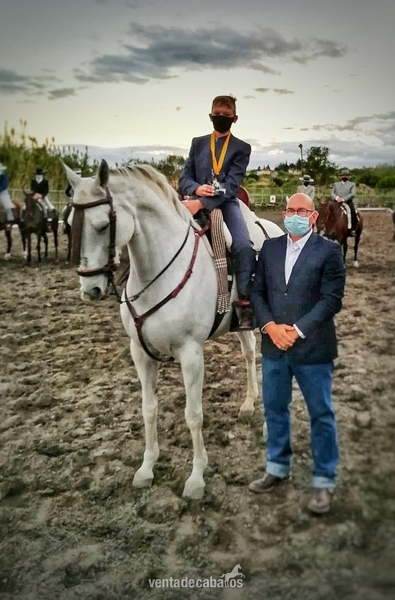 Hispano arabe 50% {TYPE}