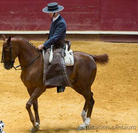 Cruzado