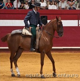 Cruzado {TYPE}