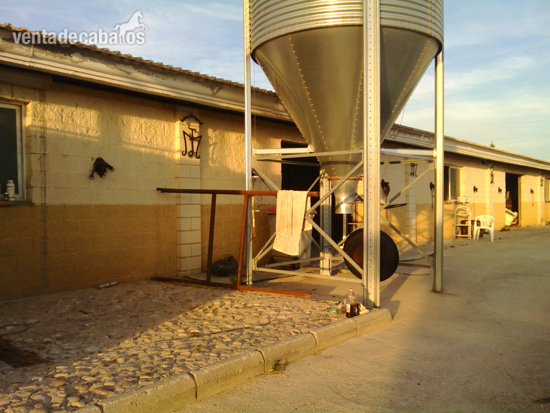 alquilo FINCA CON CODIGO REGA - Hípicas y establos en venta in UTIEL