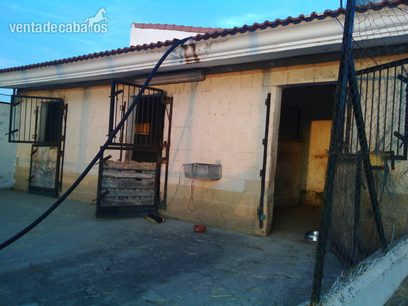 alquilo FINCA CON CODIGO REGA UTIEL