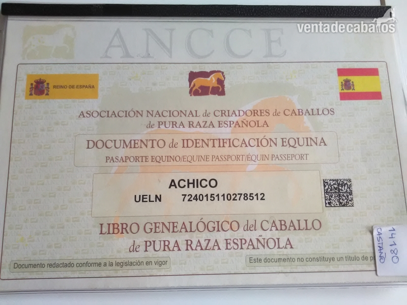 Pura Raza Española