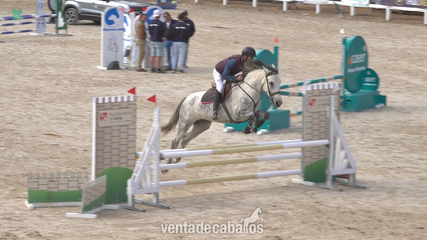 Yegua de salto in 