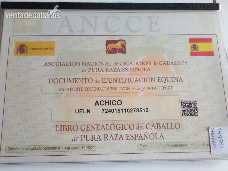 Pura Raza Española