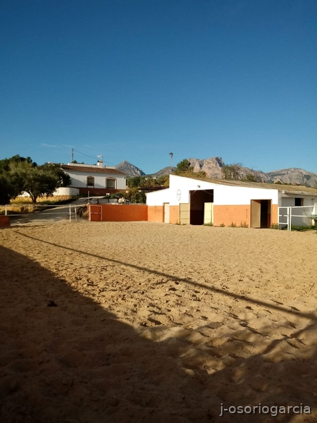 Finca hípica en Benidorm in Benidorm