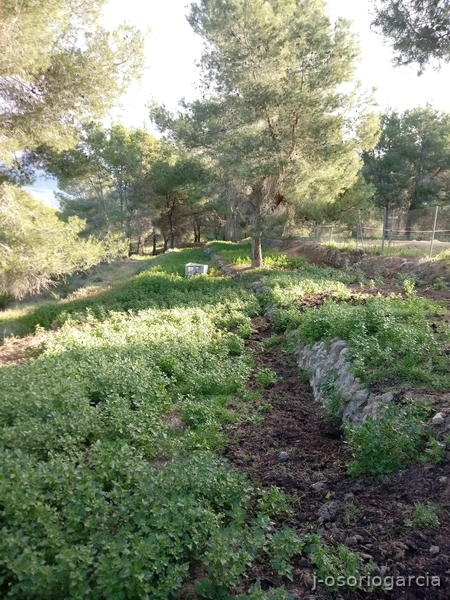 Finca hípica en Benidorm - Hípicas y establos en venta in Benidorm