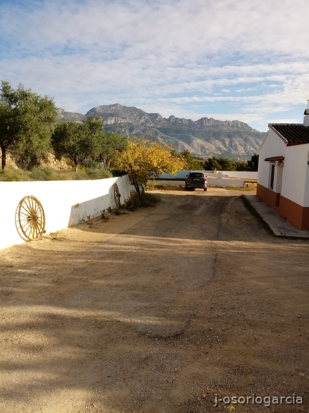 Finca hípica en Benidorm Benidorm
