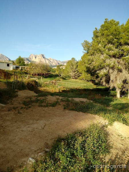 Hípicas y establos en venta - Finca hípica en Benidorm in Benidorm