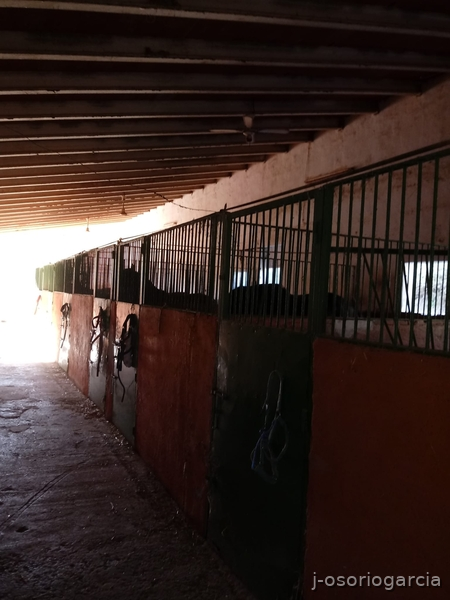 Hípicas y establos en venta - Finca hípica en Benidorm