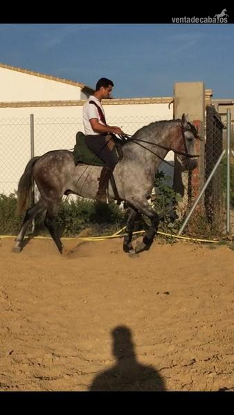 Hispano-Arabe {TYPE}
