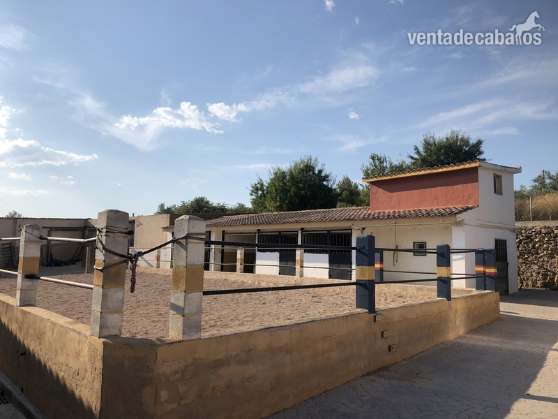 Alquilo cuadras en VALENCIA chiva 