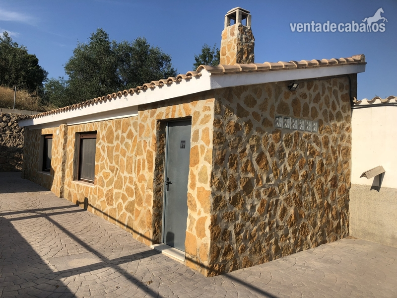 Chiva  Alquilo cuadras en VALENCIA chiva 