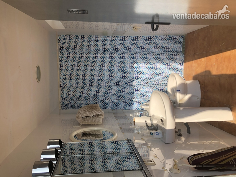 Alquilo cuadras en VALENCIA chiva  - Hípicas y establos en venta in Chiva 