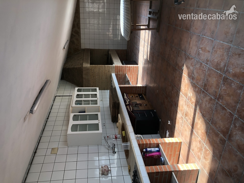 Alquilo cuadras en VALENCIA chiva  - Hípicas y establos en venta