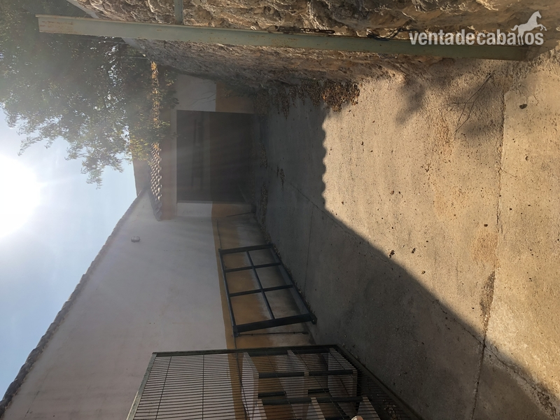 Alquilo cuadras en VALENCIA chiva  Chiva 