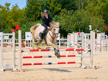 Estupendo poni C Salto