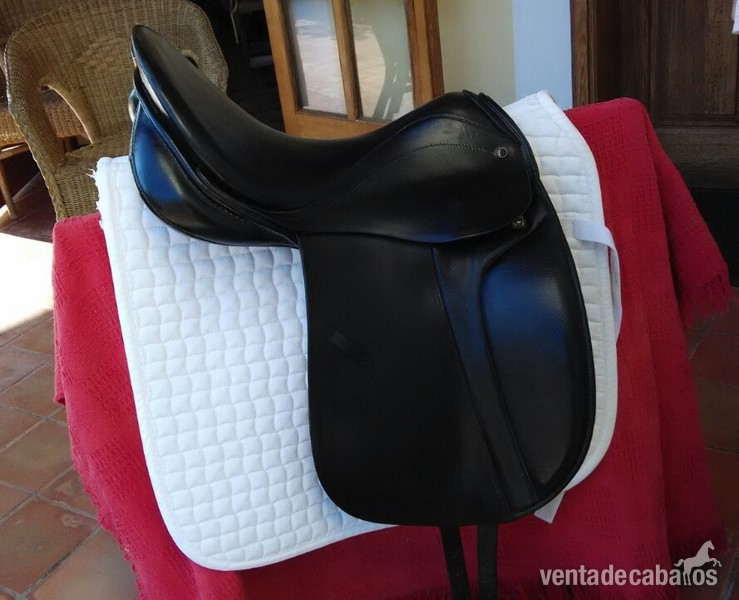 Montura doma clasica in 