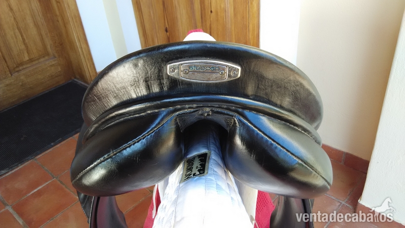  Montura doma clasica