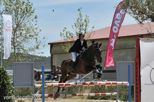 CABALLO DE SALTO in 