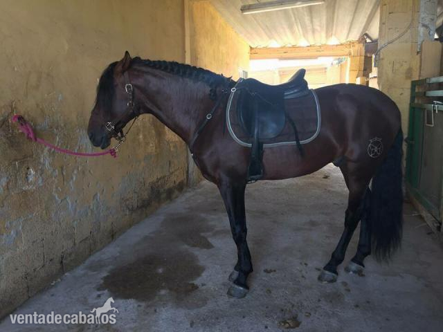 Española