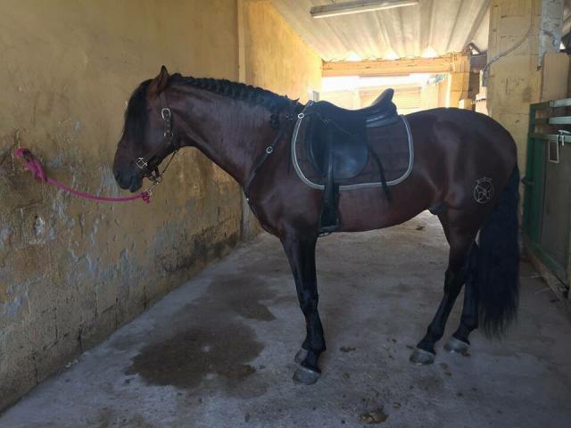 Española