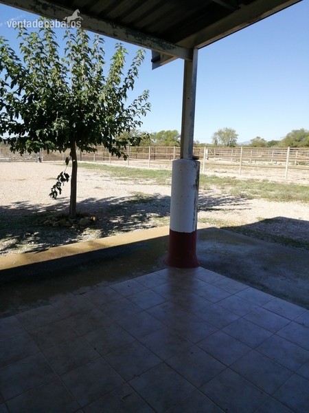 CASTELLÓN NORTE HÍPICA LEGALIZADA ACCESOS CAMPO PISTAS 