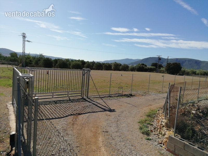 HÍPICA LEGALIZADA ACCESOS CAMPO PISTAS  - Finca ecuestre