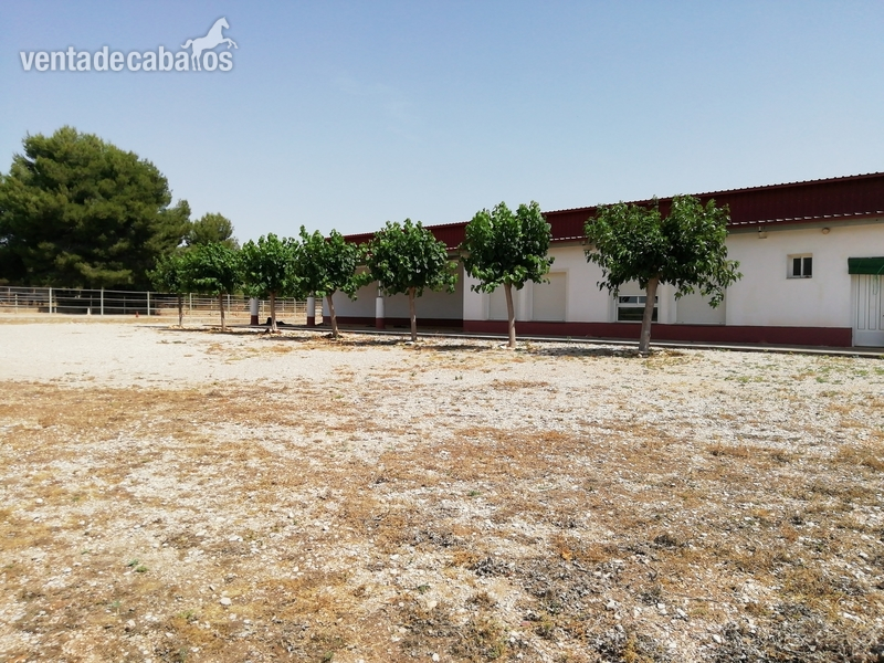 Finca ecuestre - HÍPICA LEGALIZADA ACCESOS CAMPO PISTAS  in CASTELLÓN NORTE