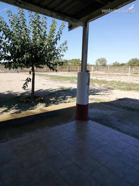 CASTELLÓN NORTE HÍPICA LEGALIZADA ACCESOS CAMPO PISTAS 