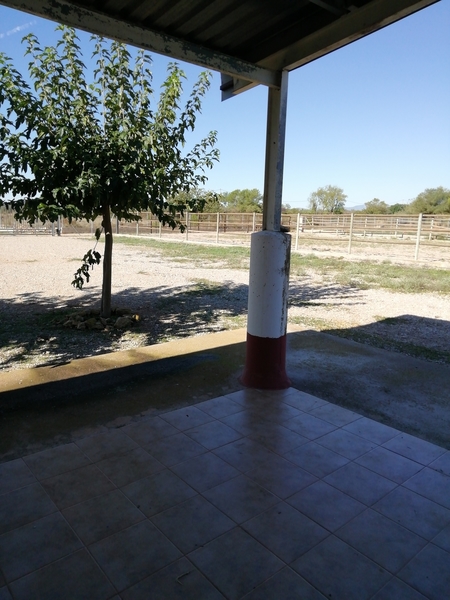 CASTELLÓN NORTE HÍPICA LEGALIZADA ACCESOS CAMPO PISTAS 