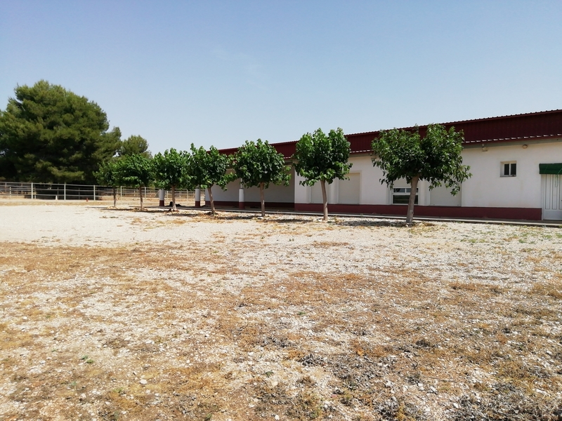 HÍPICA LEGALIZADA ACCESOS CAMPO PISTAS  CASTELLÓN NORTE