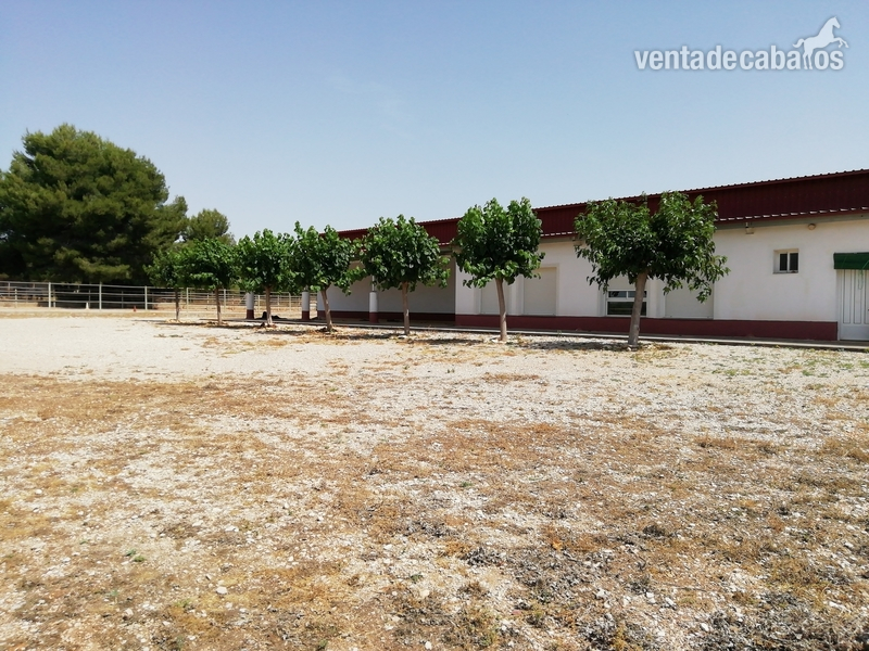 HÍPICA LEGALIZADA ACCESOS CAMPO PISTAS  CASTELLÓN NORTE