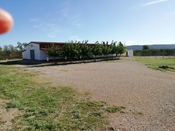 HÍPICA LEGALIZADA ACCESOS CAMPO PISTAS 