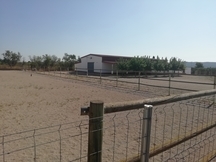 HÍPICA LEGALIZADA ACCESOS CAMPO PISTAS 