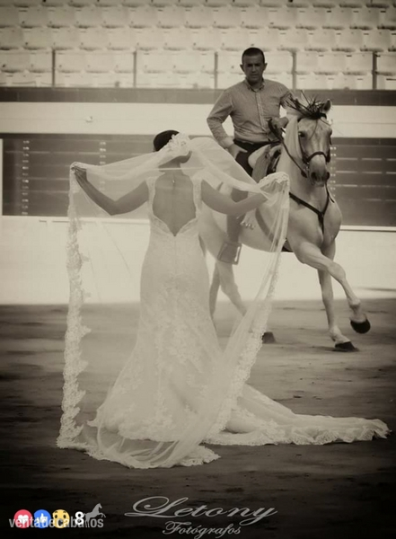 Española, cruzado.