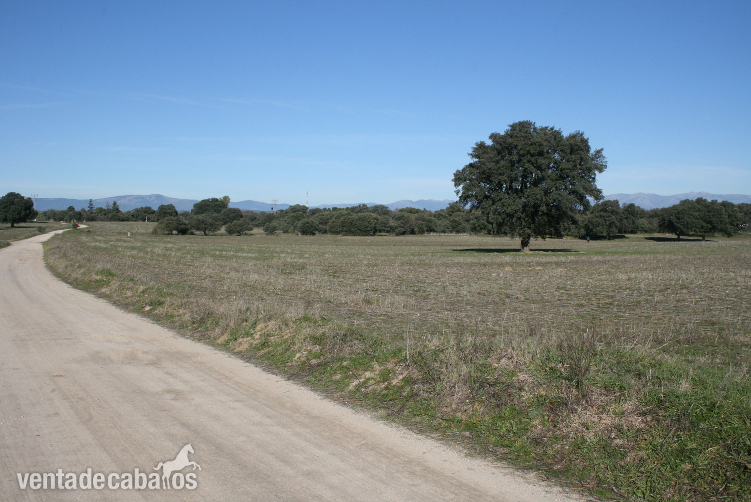 Finca en Brunete in Brunee