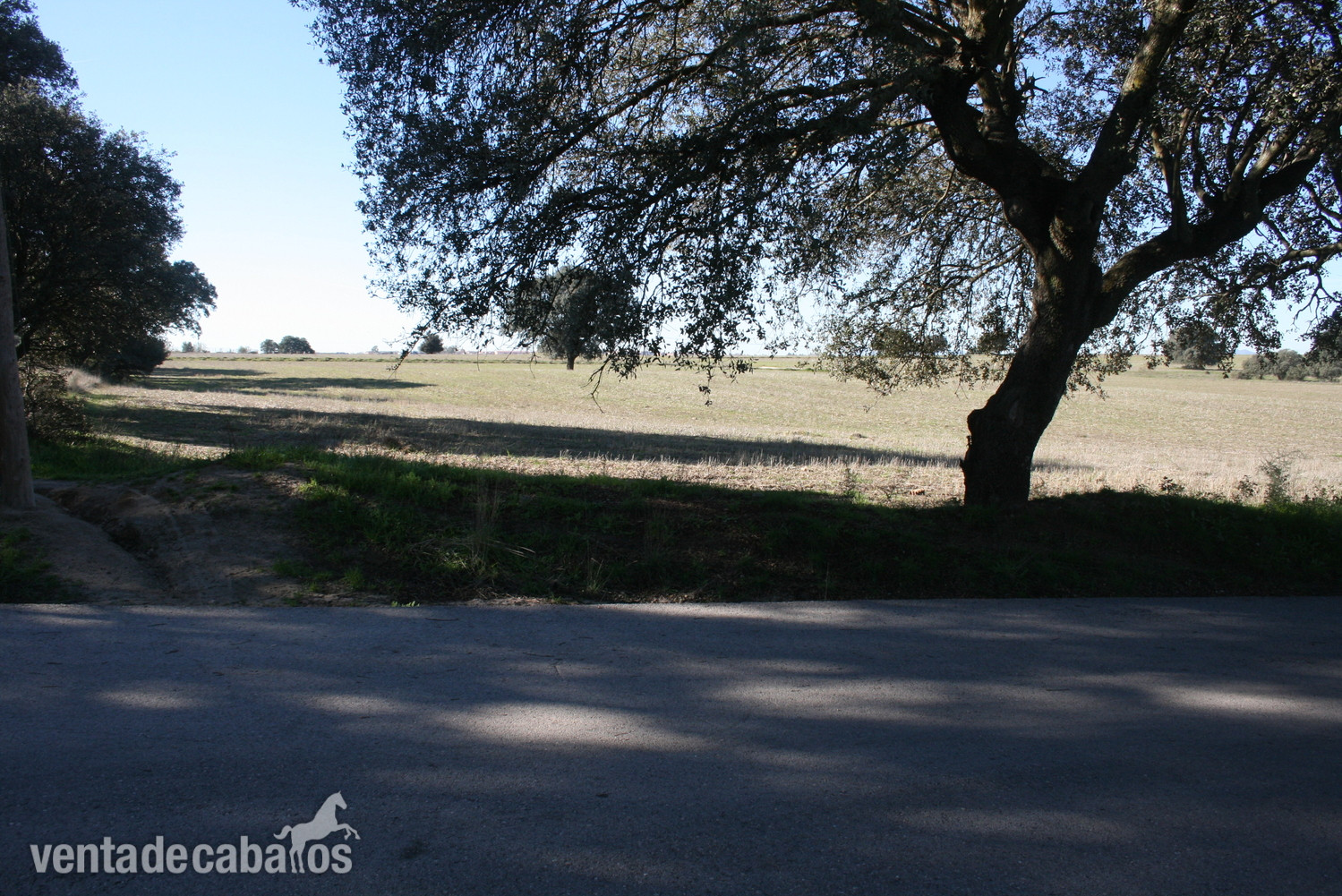 Finca en Brunete