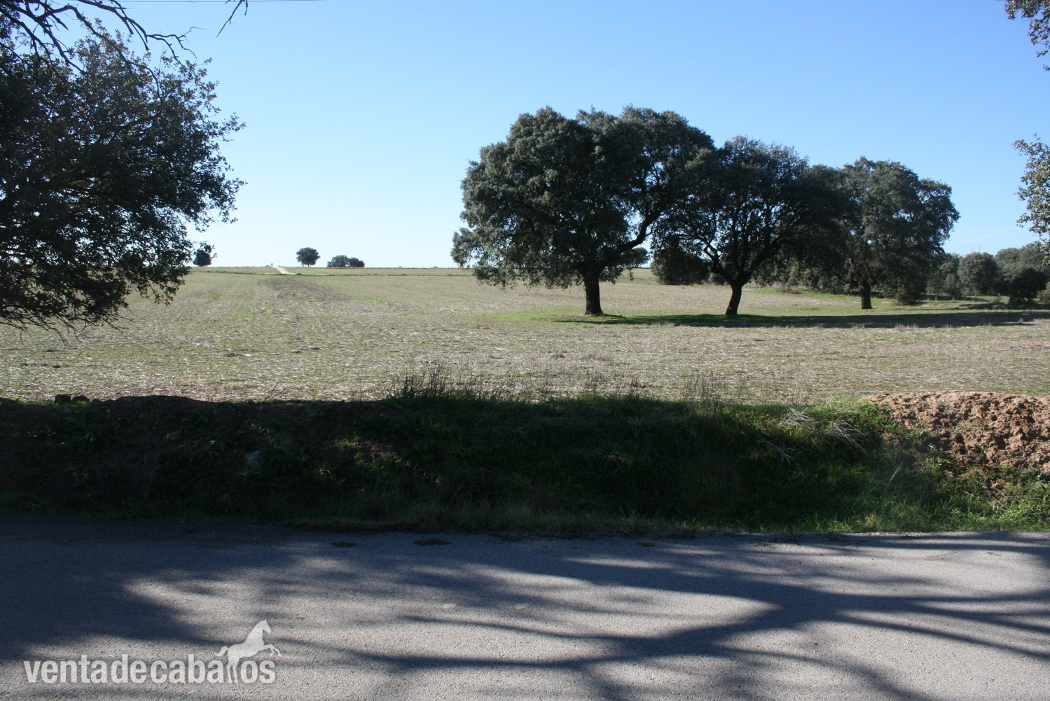 Brunee Finca en Brunete