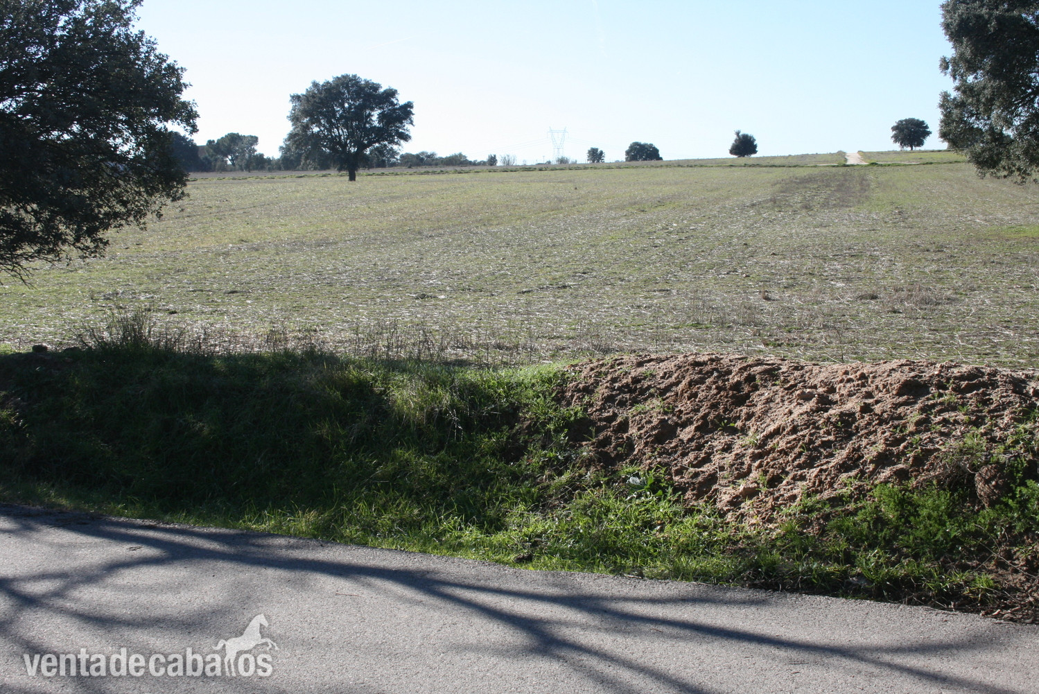 Finca en Brunete - Finca ecuestre in Brunee