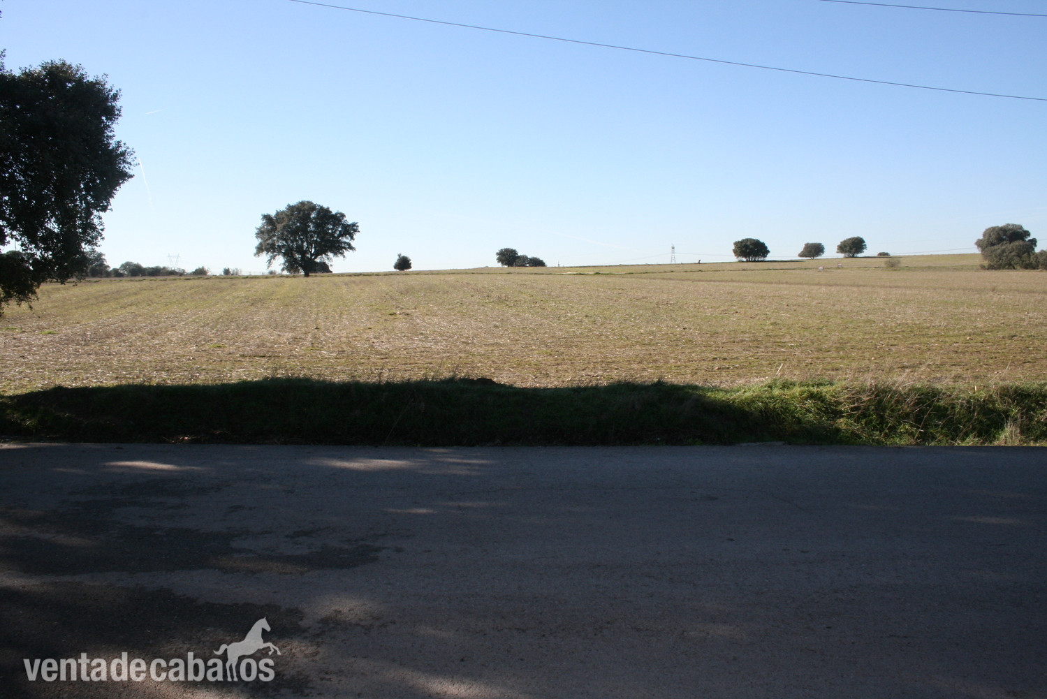 Finca en Brunete - Finca ecuestre
