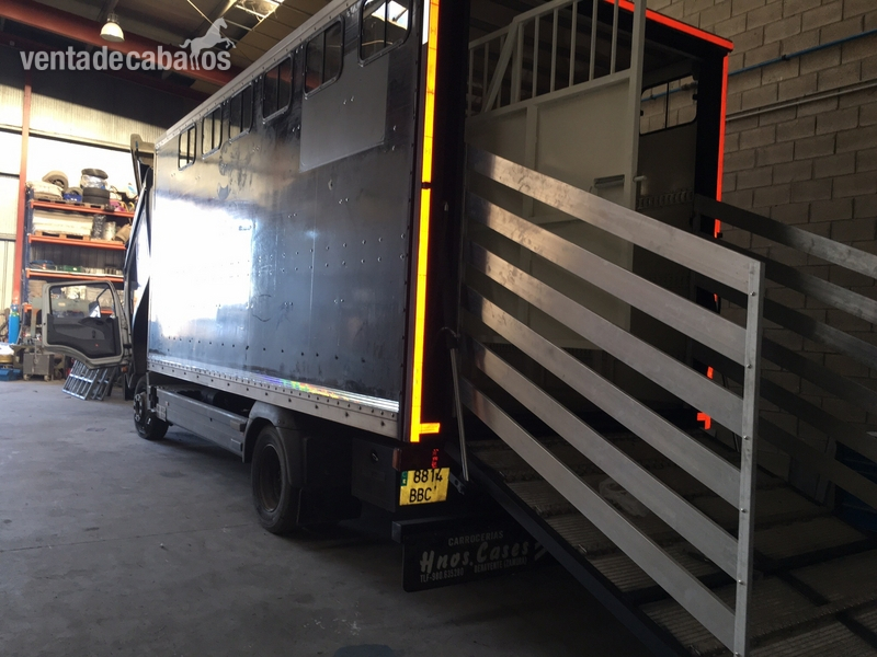 Transportes caballos in 