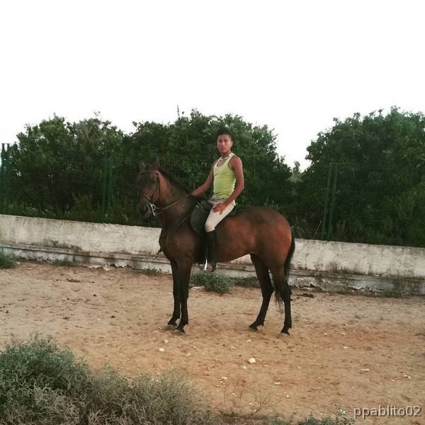 española mestiza